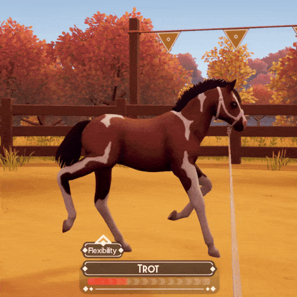lunging a foal at different distances and over jumps for training.