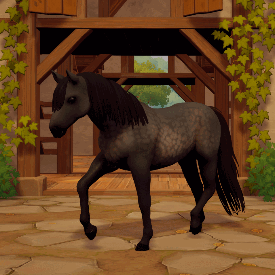 black dapple variations