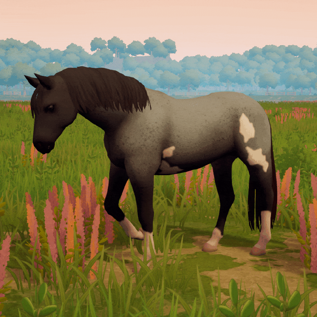 blue roan overo variations