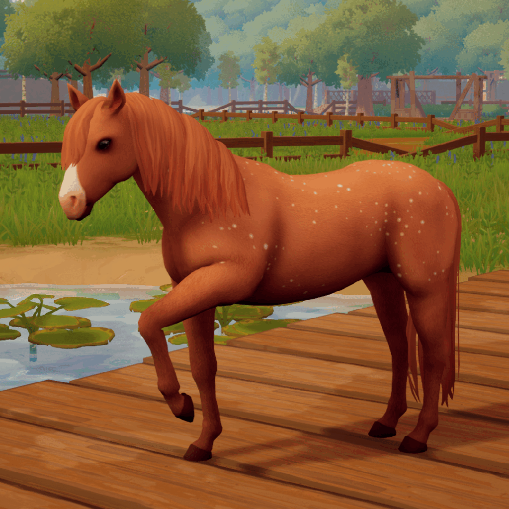 chestnut appaloosa variations