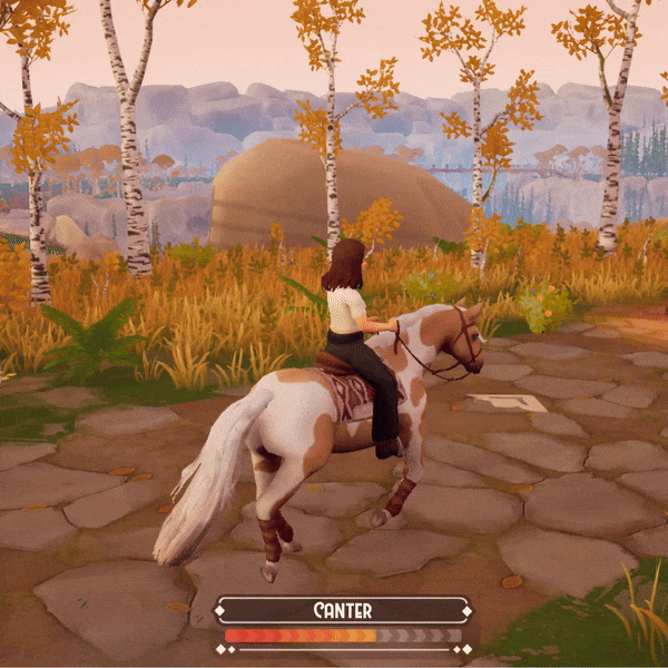 jumping in a competition