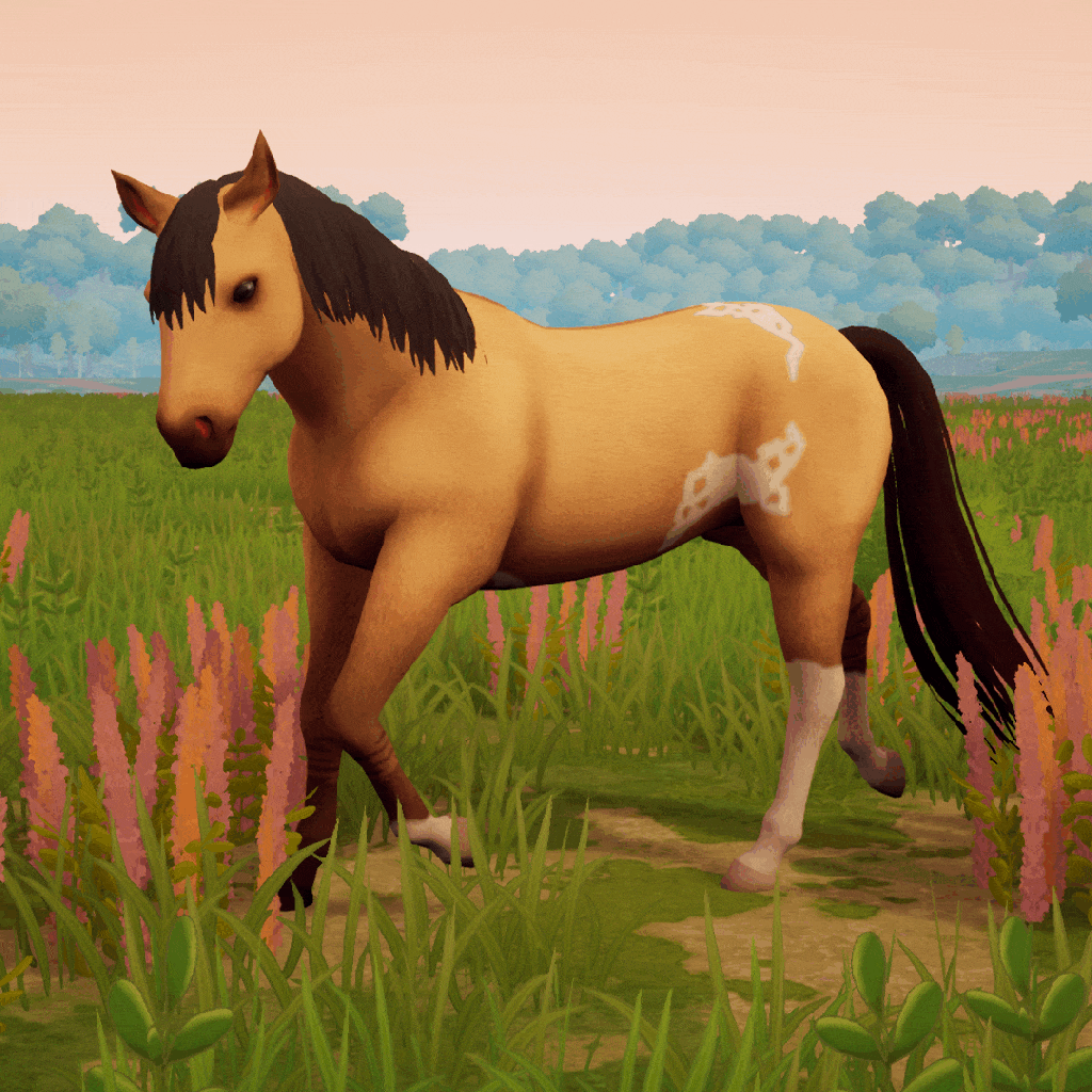 dun overo variations