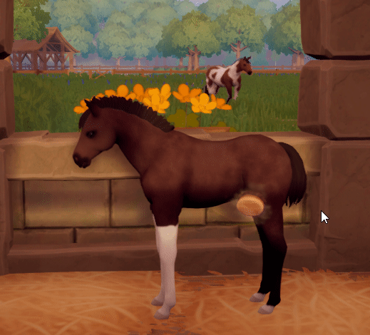 Brushing a foal; foal kicks out when you brush its legs